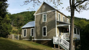3BR Pet Friendly Cottage Mathias WV